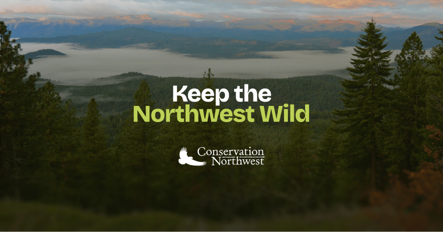 CNW Fire Dispatch #6 – Land ownership maps