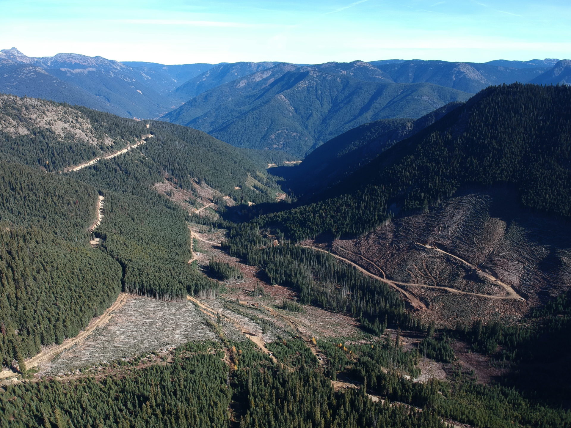 Logging in upper Skagit Donut Hole looking south to Manning Park and Washington state Photo Wilderness Committee