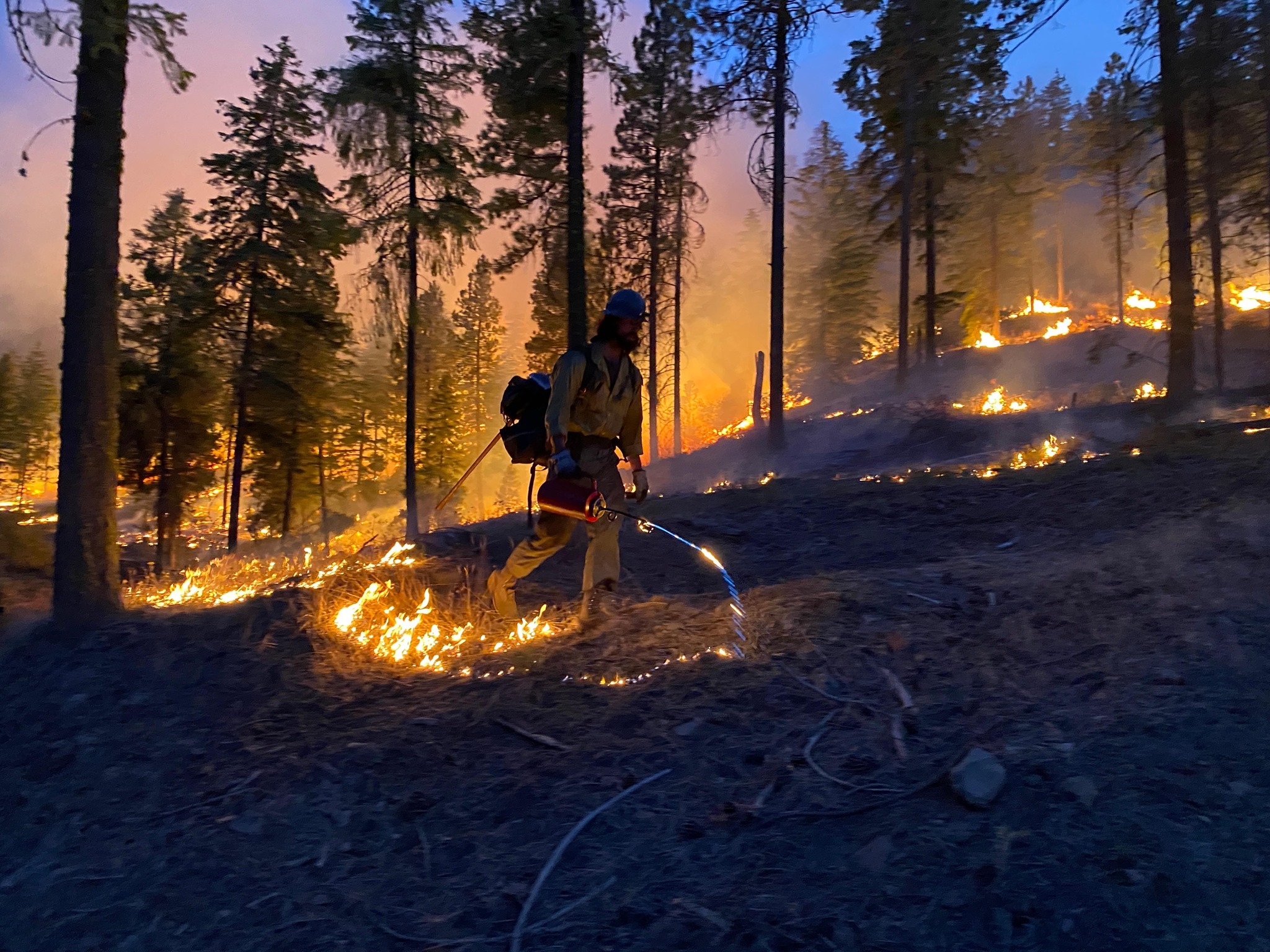 A firefighter uses a hose to spray water on a forest fire at dusk, surrounded by burning trees and ground vegetation, with smoke rising in the background