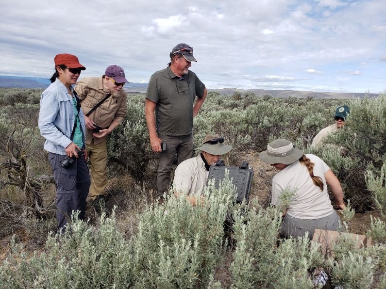 members of CNW set up a new camera in shrub-steppe