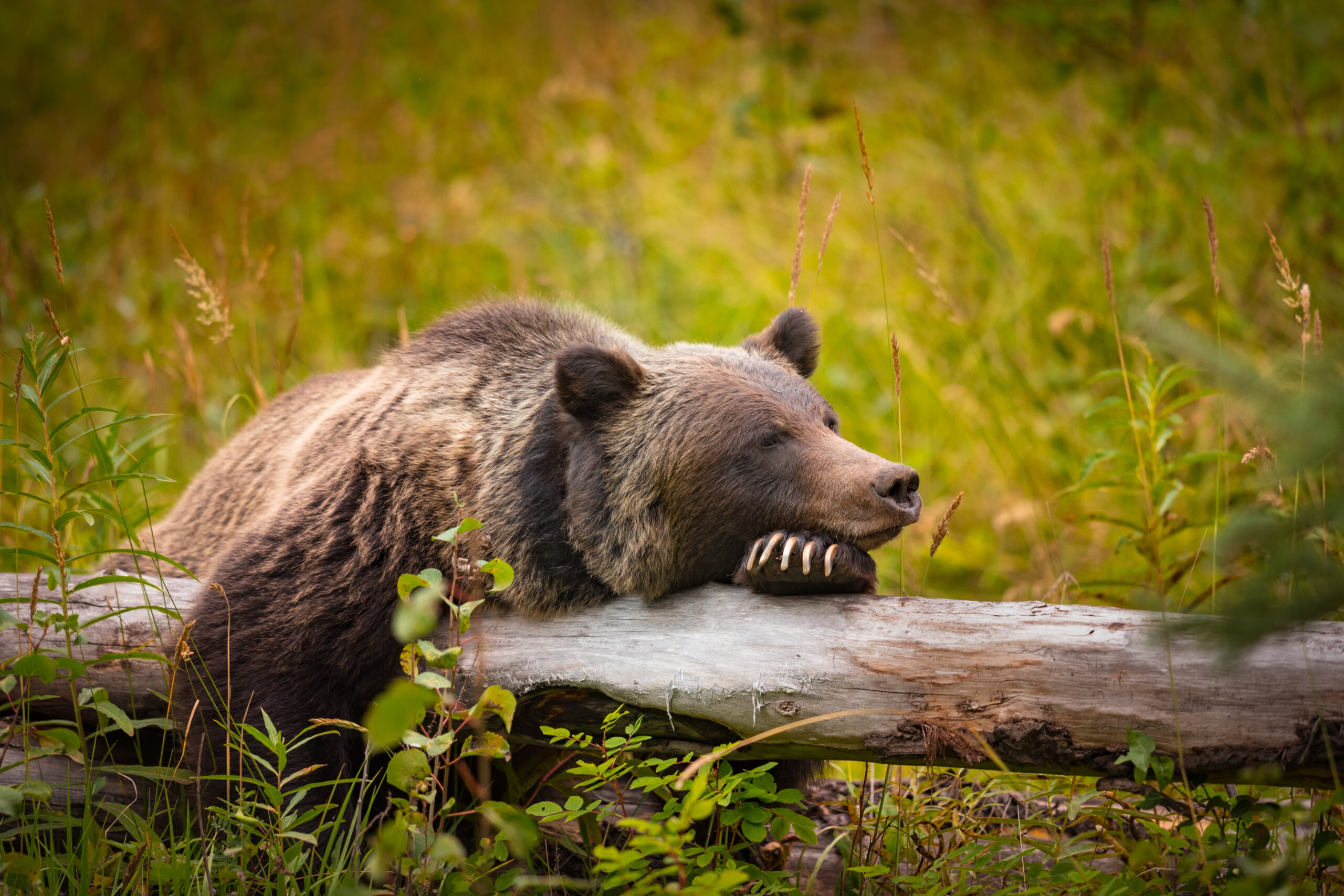 shutterstock 522134689 scaled 1