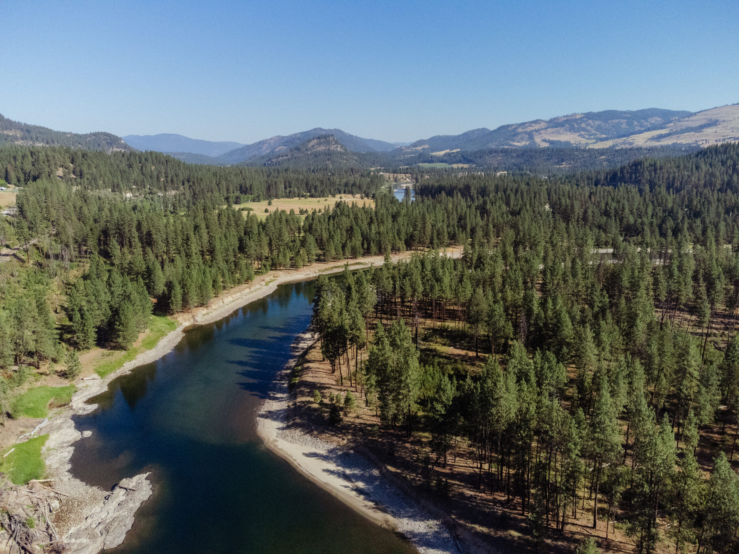 Colville NF Ung 2023 scaled 1