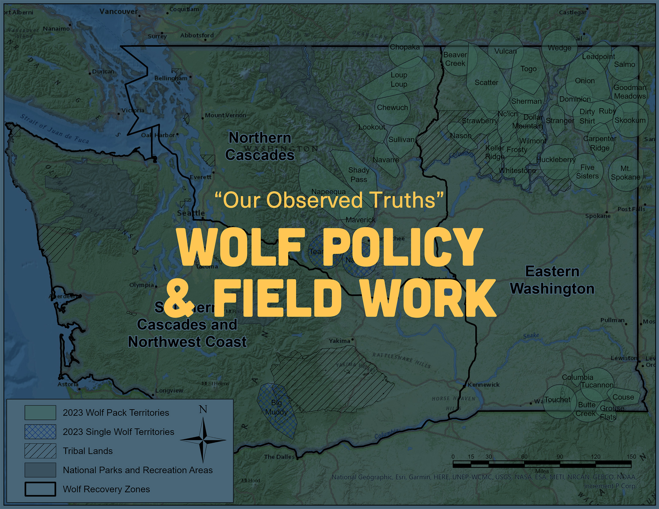 CNW Wolf Blog Observed Truth Featured Image