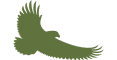 Silhouette of a flying bird with outstretched wings.