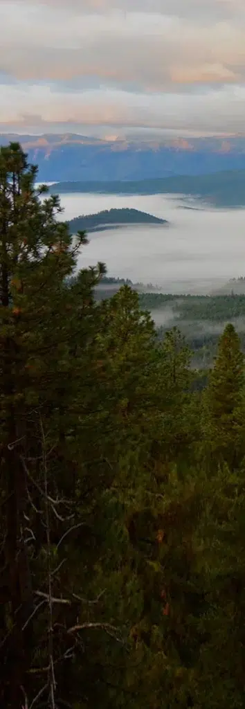A panoramic view of a misty valley with an island in the center, surrounded by trees. The background features mountain peaks under a cloudy sky.