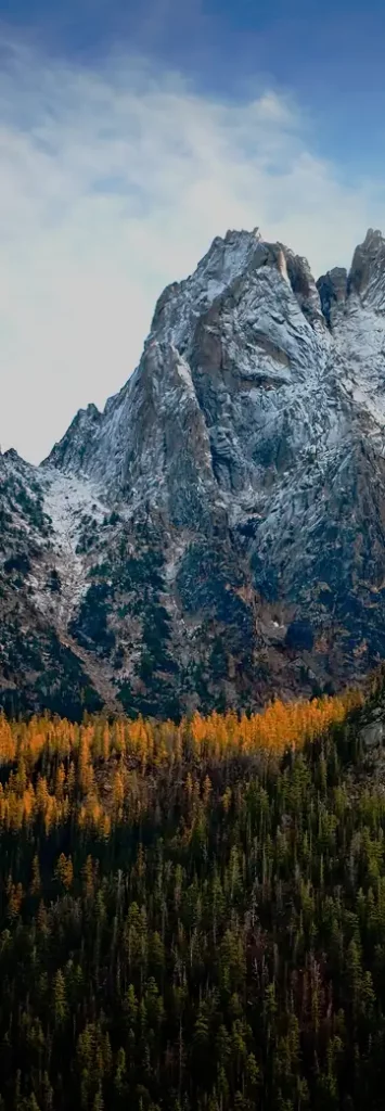 Snow-dusted mountain peaks rise above a dense evergreen forest with vibrant golden autumn trees under a cloudy blue sky.