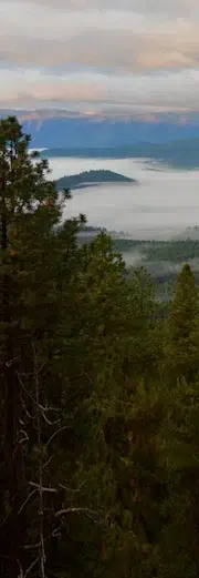 A panoramic view of a misty valley with an island in the center, surrounded by trees. The background features mountain peaks under a cloudy sky.