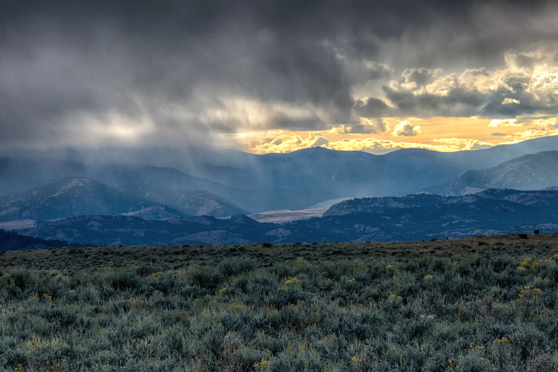 Cascades to Rockies 2