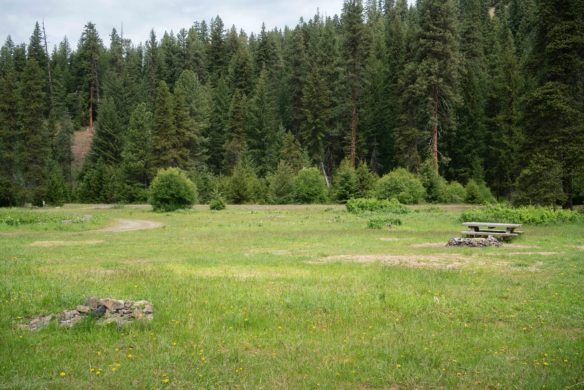 Central Cascades Watershed Restoration 1 1
