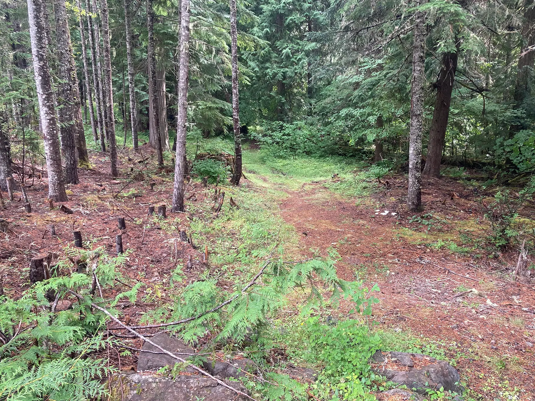 Central Cascades Watershed Restoration 7