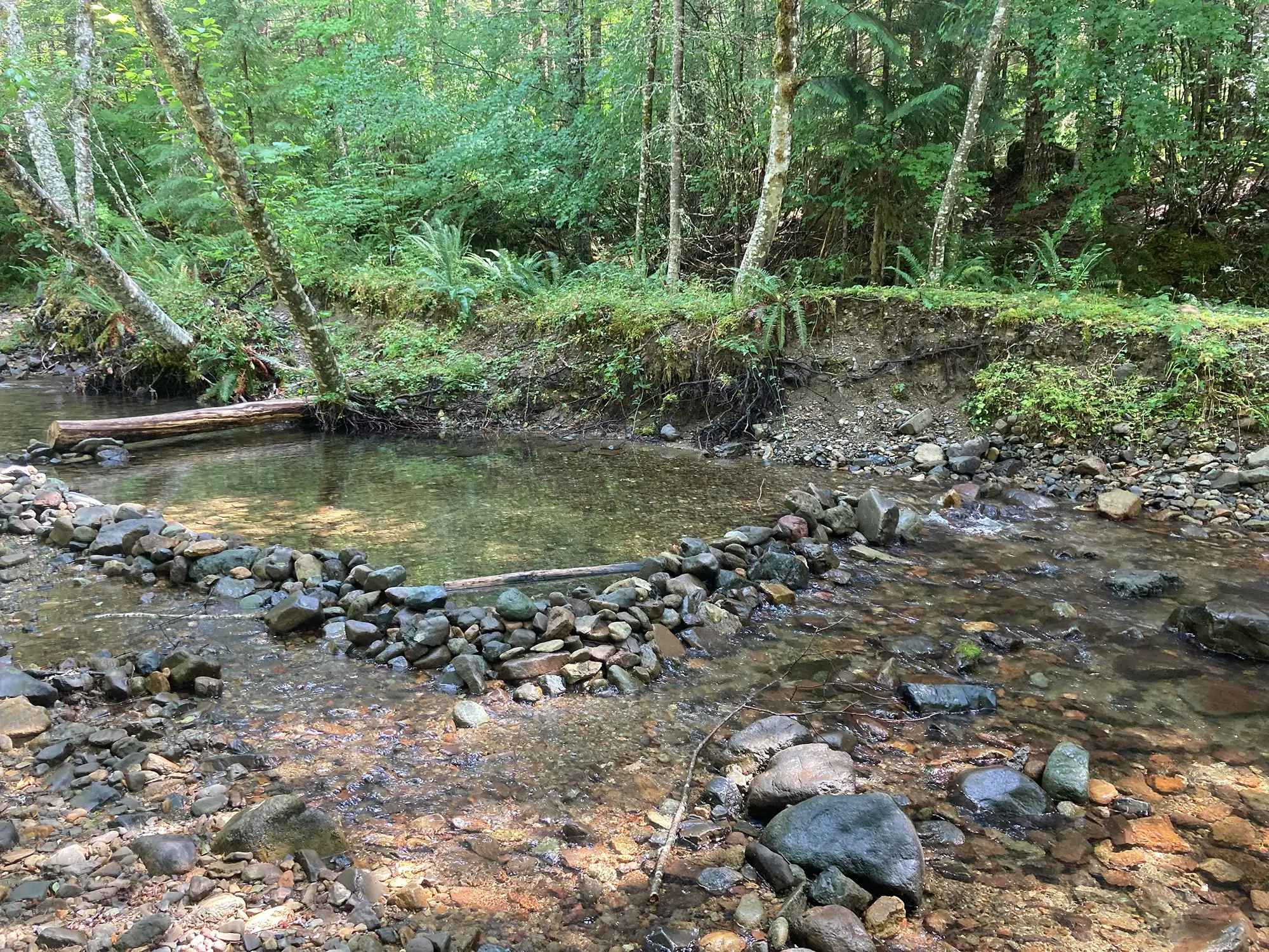 Central Cascades Watershed Restoration 8