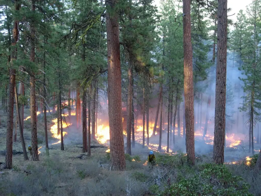 Restoring fire Images 7 scaled