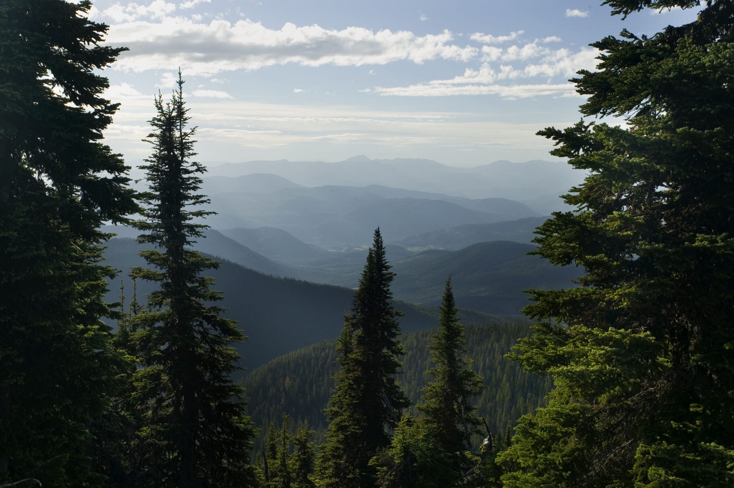 Sunlight filters through tall evergreen trees framing a scenic view of rolling, forested mountains and valleys under a partly cloudy sky. Hazy blue ridges stretch into the distance.